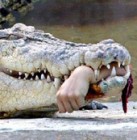 Leharapta bal karját a krokodil
