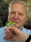 A pokolba kívánják a világhírû természettudós David Attenborough-t!