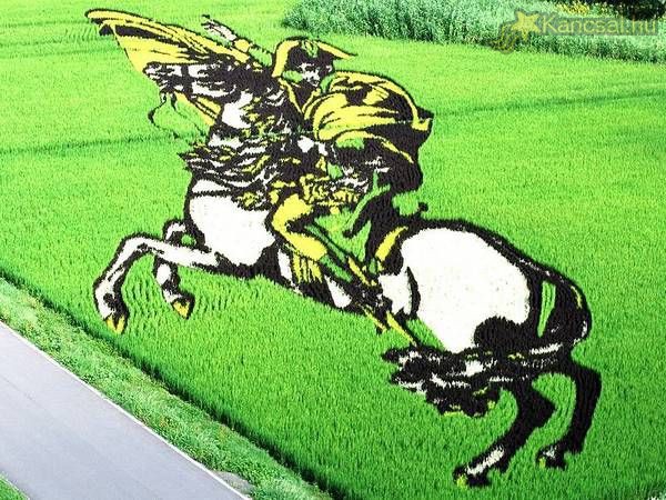 Fantasztikus alkotások a rizsföldeken
