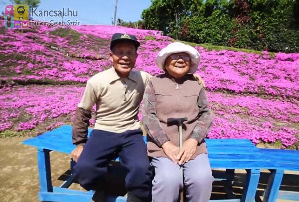 Több ezer virágot ültetett látását elvesztő feleségének az idős férfi