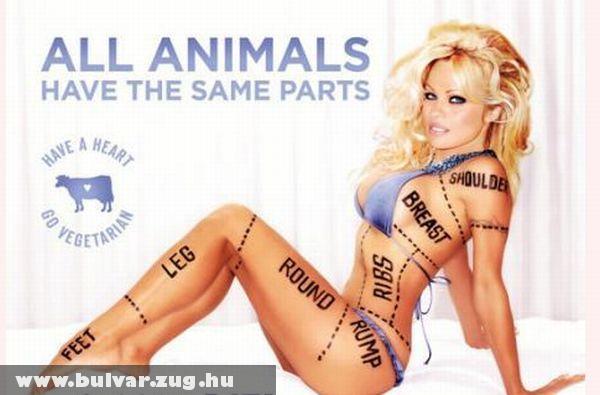 Pamela Anderson részei 