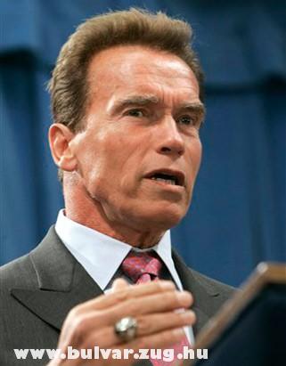 Arnold a politikus