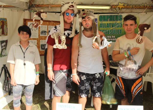 Állatbarátkoztunk a Sziget 2014-en a Civil Szigeten, az Orpheus Állatvédő Egyesület standján