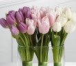 Tavaszi tulipáncsokor