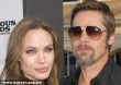 Jolie és Pitt borászkodnak - Órák alatt elkapkodták boraikat